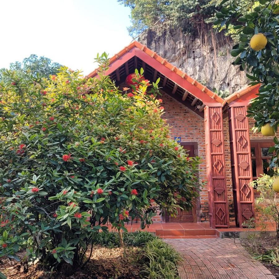 Tam Coc Mountain Lake Homestay Ninh Binh Eksteriør billede
